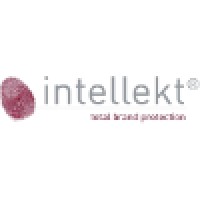 Intellekt Group Logo