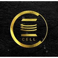E-Cell SATI, Vidisha Logo