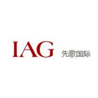 International Audio Group Ltd ( IAG Group Ltd ) Logo