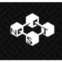 NST Capital Logo