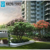 Kalpataru Group Logo