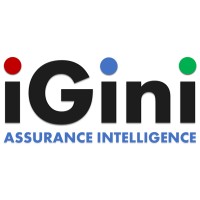 iGini Logo