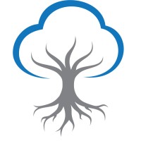 Banyan Medical Logo