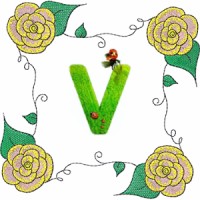 Blockchain Vegans Logo