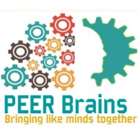 PeerBrains Technologies Logo