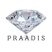 PRAADIS Luxury Division Inc. Logo