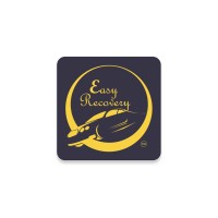 Easy Recovery Logo