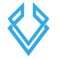 Viden Logo