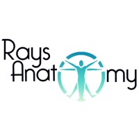 Rays Anatomy Logo
