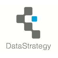 DataStrategy Inc. Logo