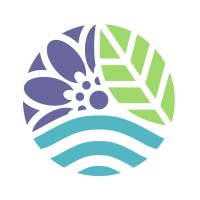 JOJOMOKA Skincare Logo