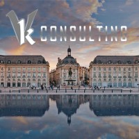 VK-CONSULTING Logo