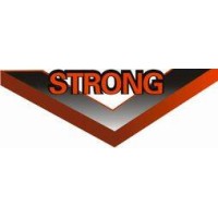 V-strong Electronics 威斯创电子 Logo