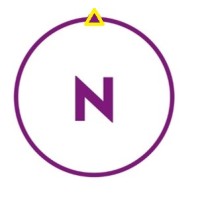 TrueNorth Consulting Logo