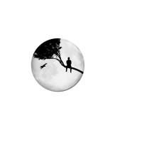 Apollo Leadership Training and Consulting Logo