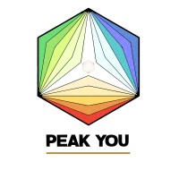 Peak You Learn Tech LLP Logo