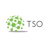 TSO Consultants Pvt. Ltd. Logo