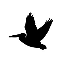 Pelican Insights Logo