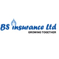 BS Insurance Limited Logo