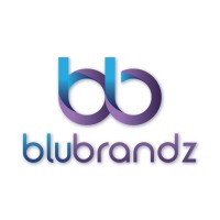 BluBrandz Technologies Pvt. Ltd. Logo
