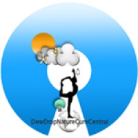 DewDropNatureCureCentral Logo
