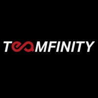 Teamfinity Singapore Logo