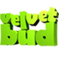 VelvetBud Technologies Logo