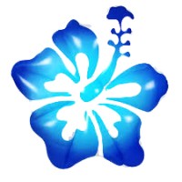 BLUE HIBISCUS ADVISORY Logo