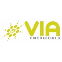 VIA Energicals Logo