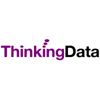 Thinking Data Logo