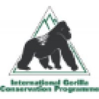 International Gorilla Conservation Programme Logo