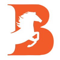 Brandmaker333 Media Solutions Logo