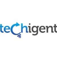 Techigent Technologies Pvt Ltd Logo