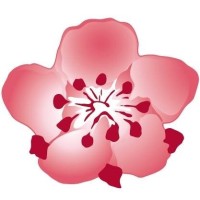 China Airlines 中華航空 Logo