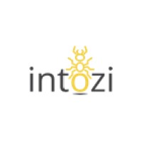Intozi Logo