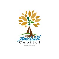 Amalabh Capital Limited Logo