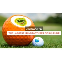 SULPHUR MILLS LTD Logo