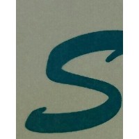 Shyam Texturisers Private Limited Logo