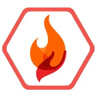 TorchViet Logo