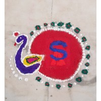 Shankar Associates, Chartered Accountants Logo