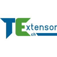 TechExtensor Pvt. Ltd. Logo