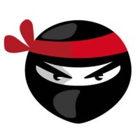 Virtual Ninjas Logo