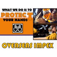 Overseas Impex Logo