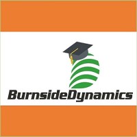 Burnside Dynamics LLC Logo