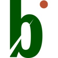 Breakpoint LLC Logo