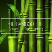 THE BAMBOO TREE, Pty Ltd Logo