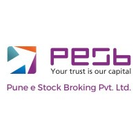 Pune e Stock Broking Ltd. Logo