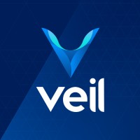 VEIL-Project Logo