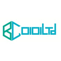 Blockchain0101 Limited Logo