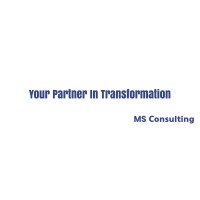 MS Consulting Global Logo